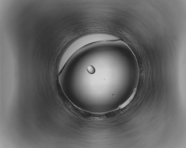 X0000113060548200908281136