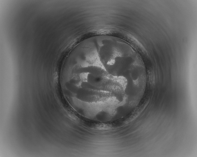 X0000113060549200908281136