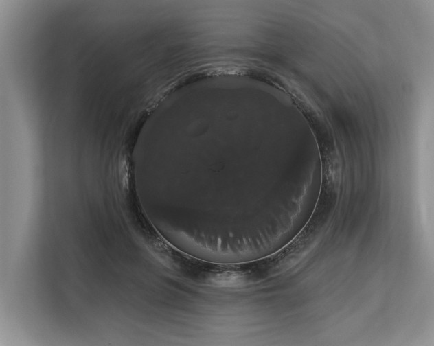 X0000113060551200908281136