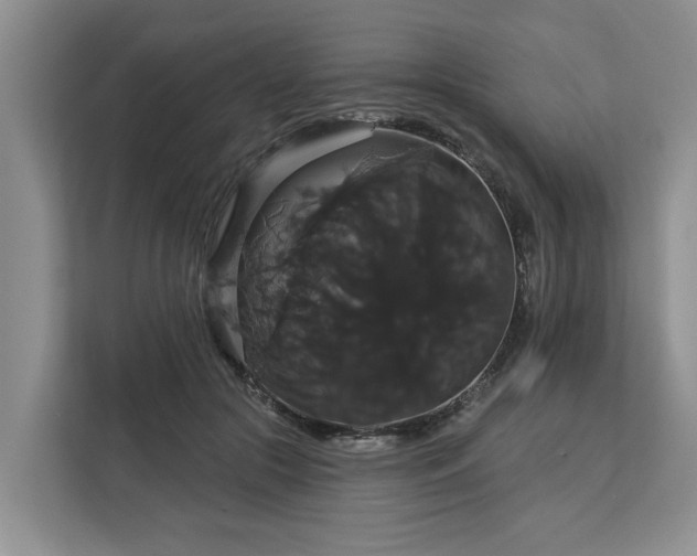 X0000113060553200908281136
