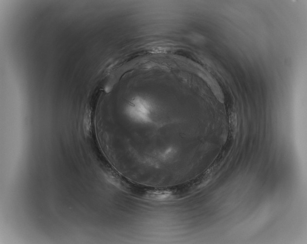X0000113060554200908281136