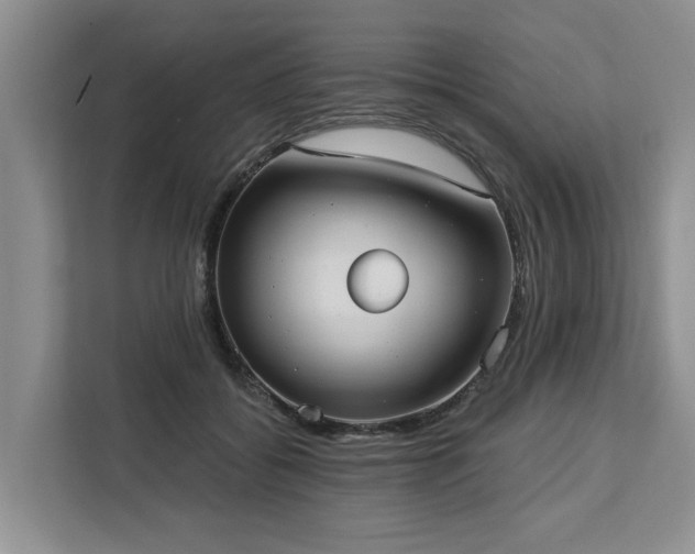 X0000113060556200908281136