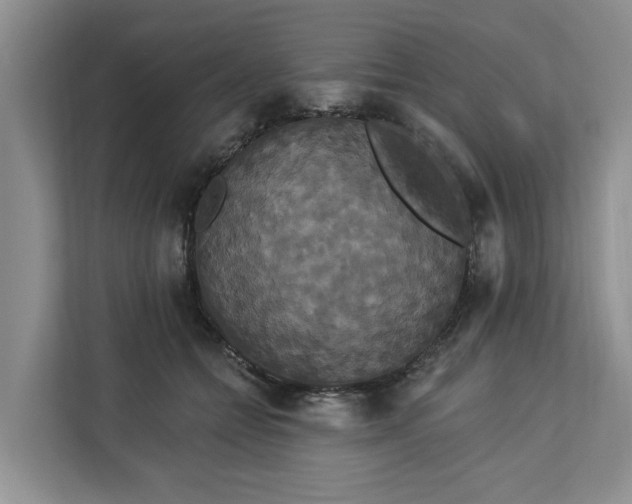 X0000113060558200908281136