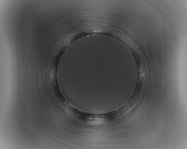 X0000113060559200908281136