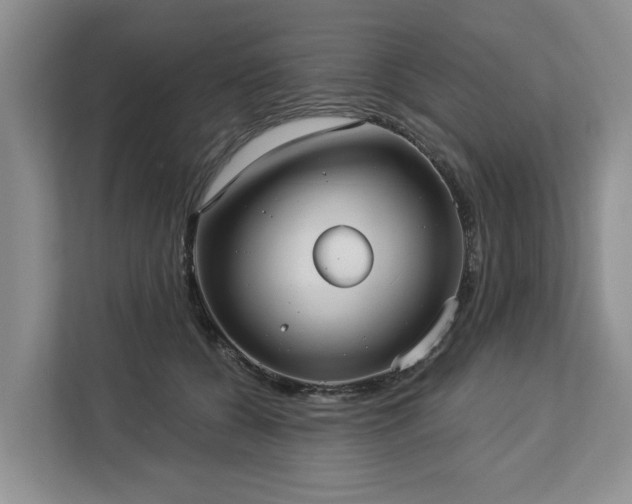 X0000113060560200908281136