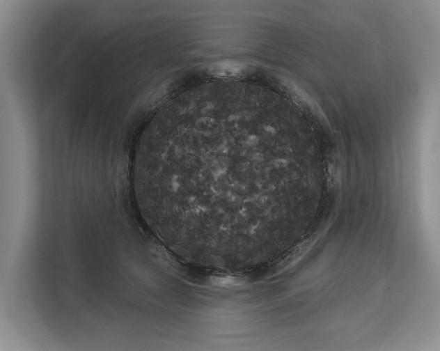 X0000113060561200908281136