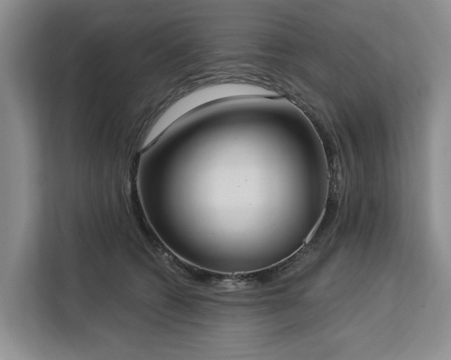X0000113060562200908281136