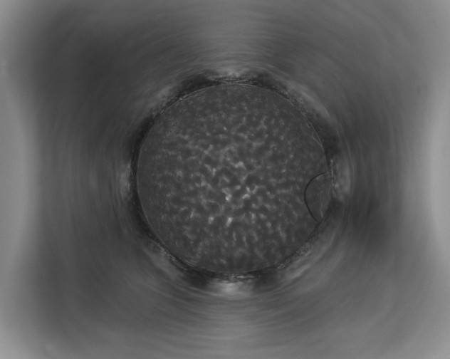 X0000113060563200908281136