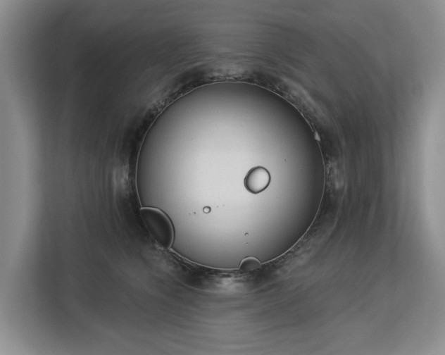 X0000113060564200908281136