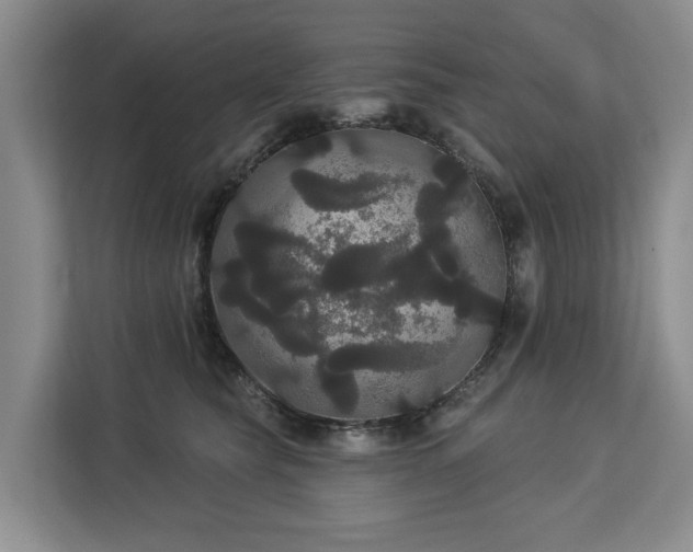 X0000113060565200908281136