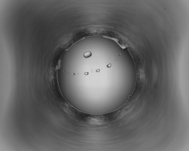 X0000113060567200908281136