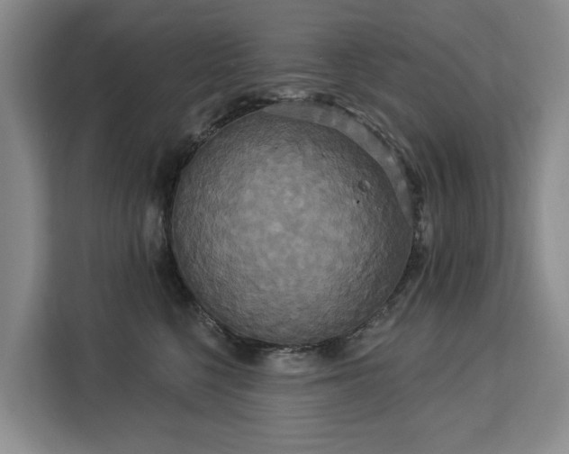 X0000113060568200908281136