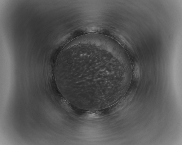 X0000113060569200908281136