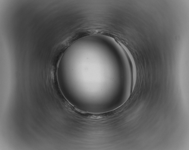 X0000113060570200908281136