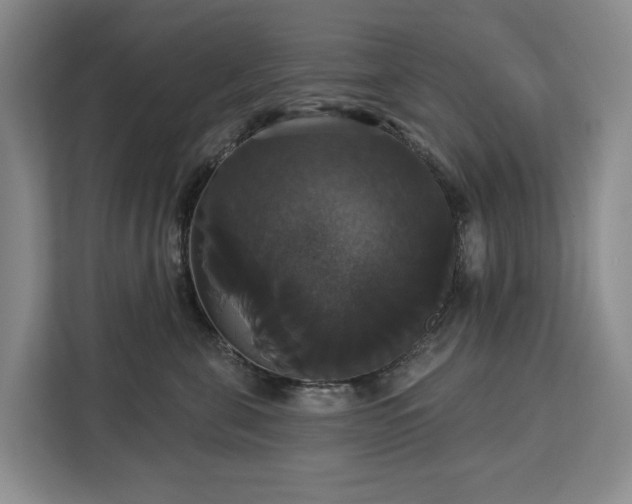 X0000113060571200908281136