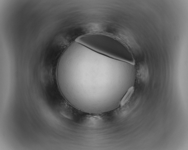 X0000113060572200908281136