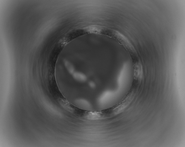 X0000113060573200908281136