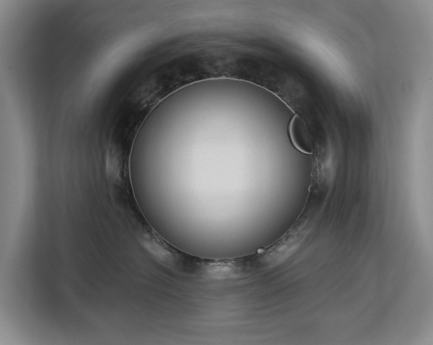 X0000113060574200908281137