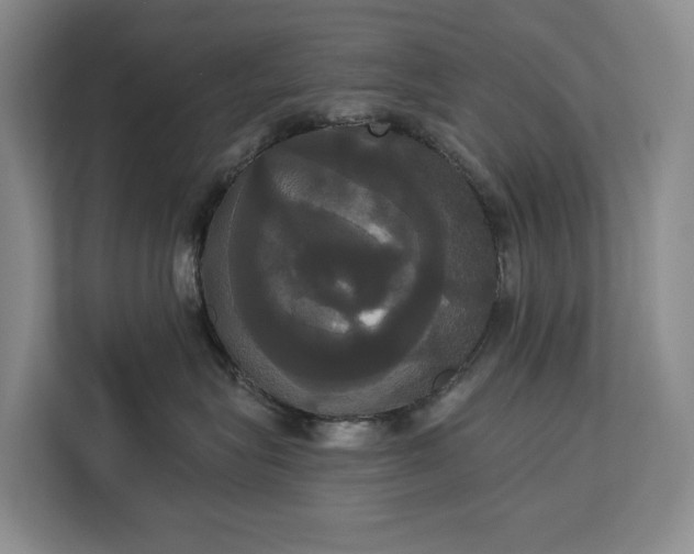 X0000113060575200908281137