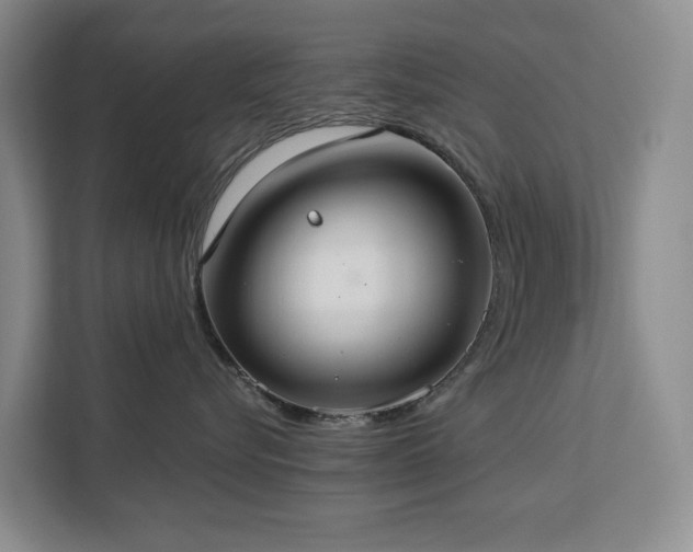 X0000113060576200908281137