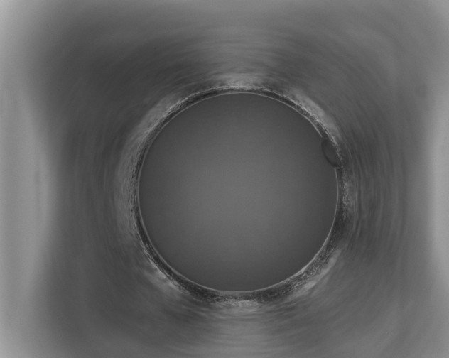 X0000113060577200908281136