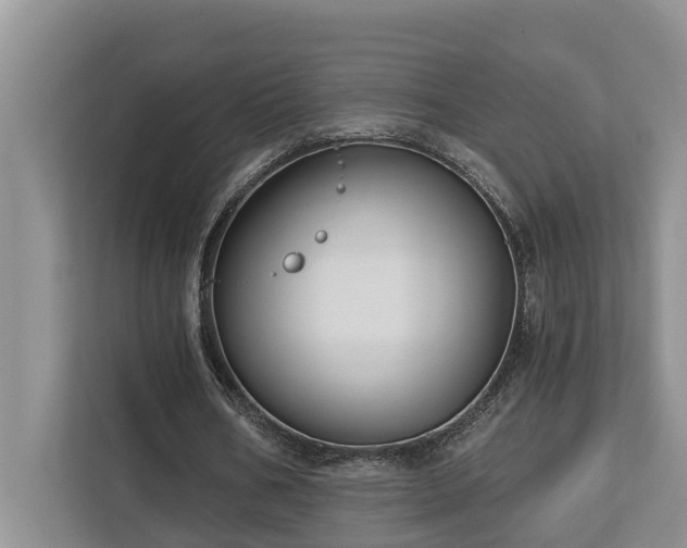 X0000113060578200908281136