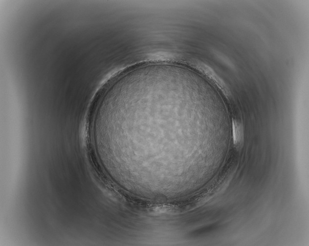 X0000113060579200908281136