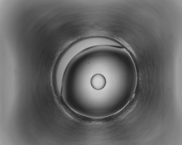 X0000113060581200908281136