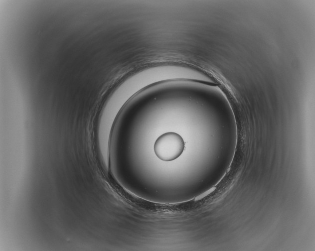 X0000113060585200908281136