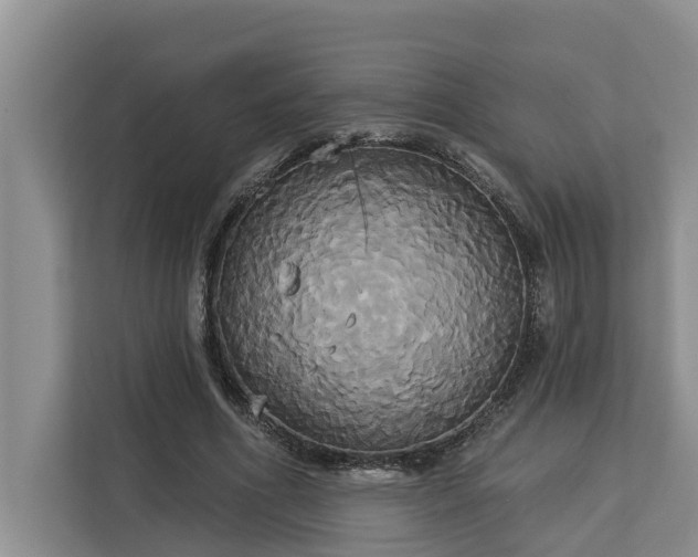 X0000113060586200908281136