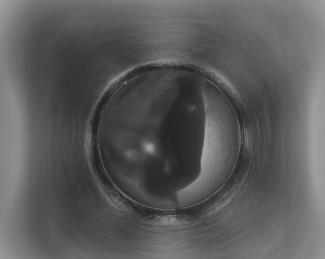 X0000113060588200908281136
