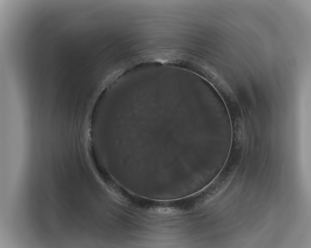 X0000113060590200908281136