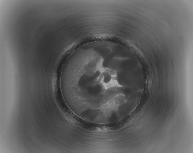 X0000113060591200908281136