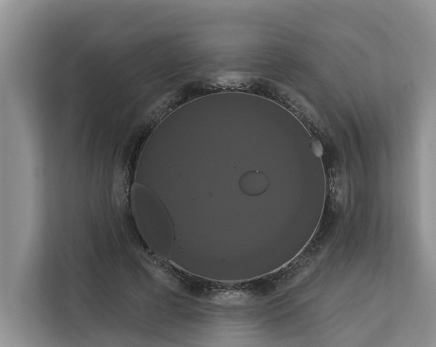 X0000113060593200908281136