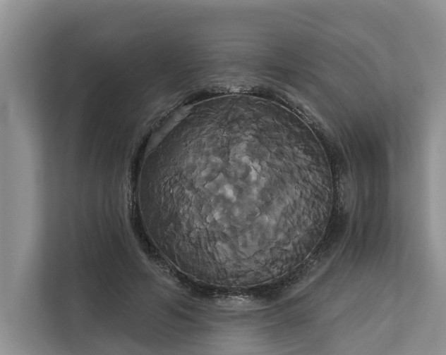X0000113060594200908281136