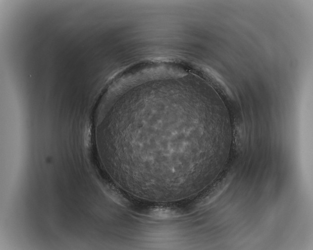 X0000113060596200908281136
