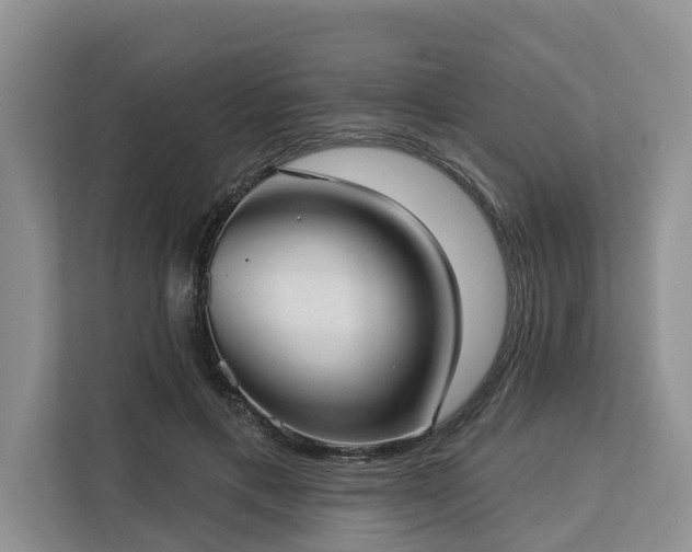 X0000113060597200908281136