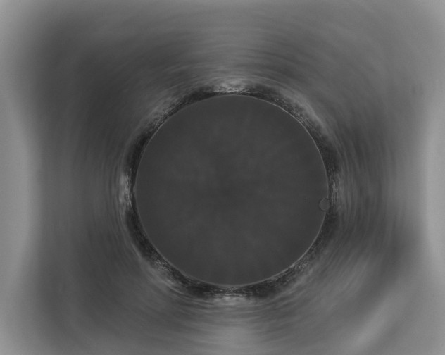 X0000113060598200908281136