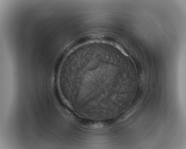 X0000113060600200908281136