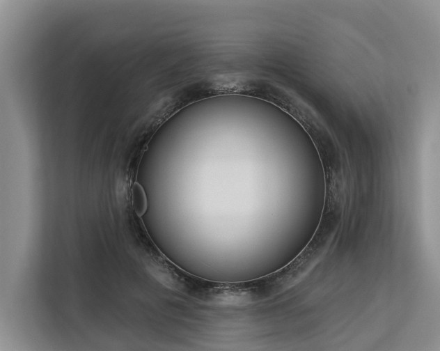 X0000113060601200908281136