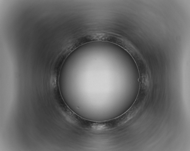 X0000113060602200908281136