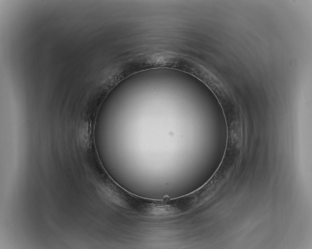 X0000113060605200908281136