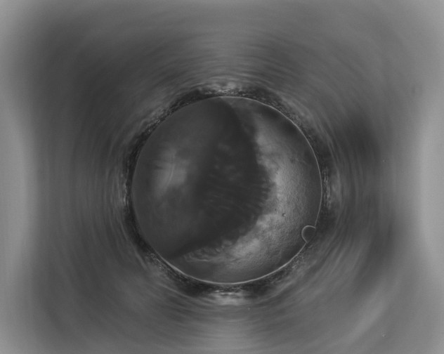 X0000113060606200908281136