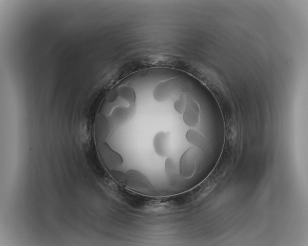 X0000113060607200908281136