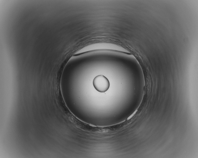 X0000113060609200908281135
