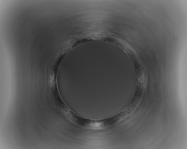 X0000113060610200908281135