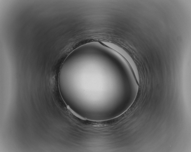 X0000113060611200908281135