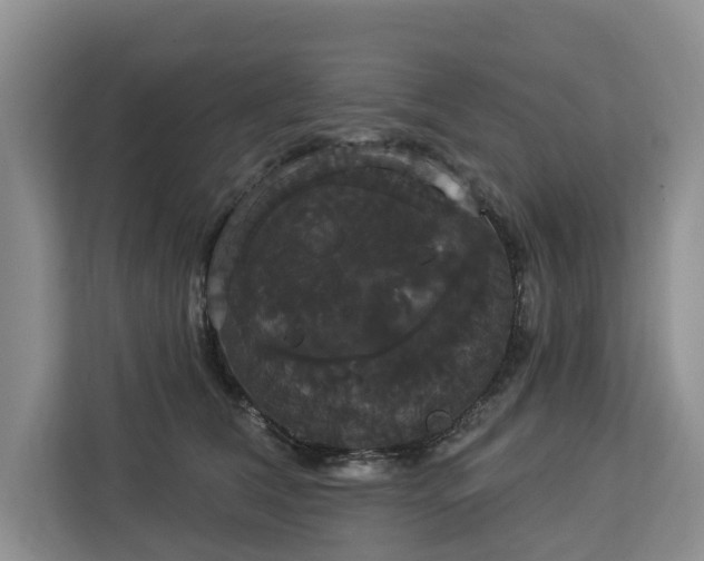 X0000113060612200908281135