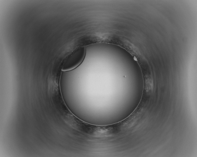 X0000113060613200908281135