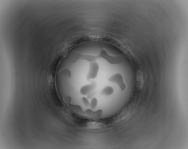 X0000113060614200908281135